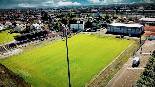 要地位以及 要地位以及