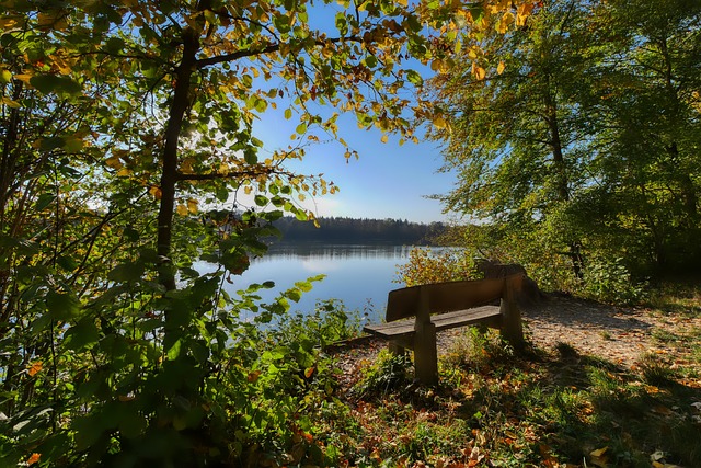 对球员能力 对球员能力